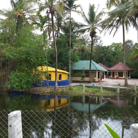 Coorg Anekad Jungle Stay Kushālnagar Zewnętrze zdjęcie
