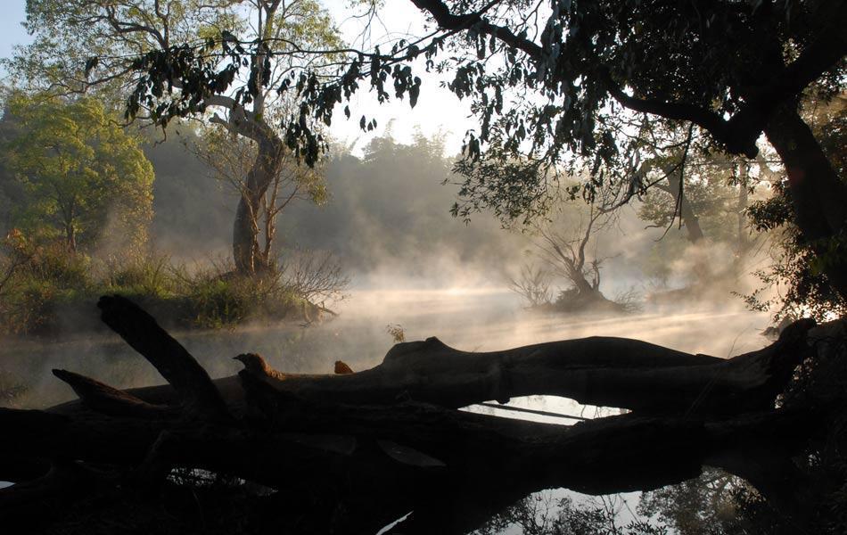 Coorg Anekad Jungle Stay Kushālnagar Zewnętrze zdjęcie