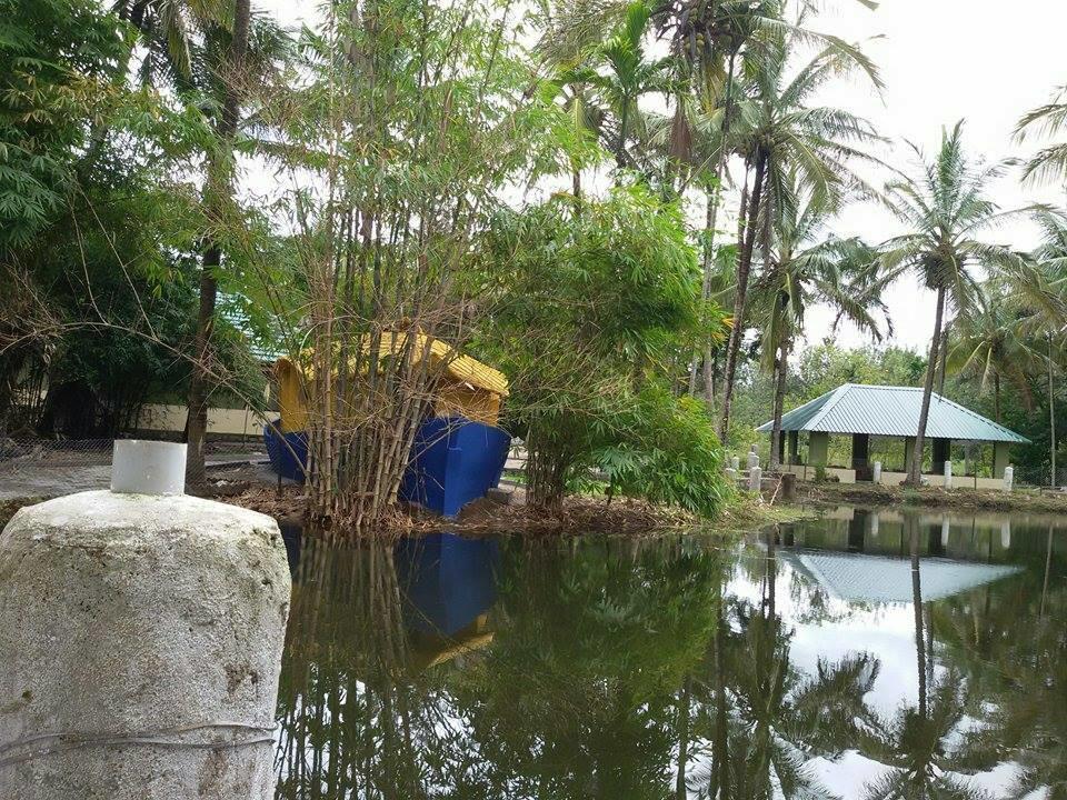 Coorg Anekad Jungle Stay Kushālnagar Zewnętrze zdjęcie