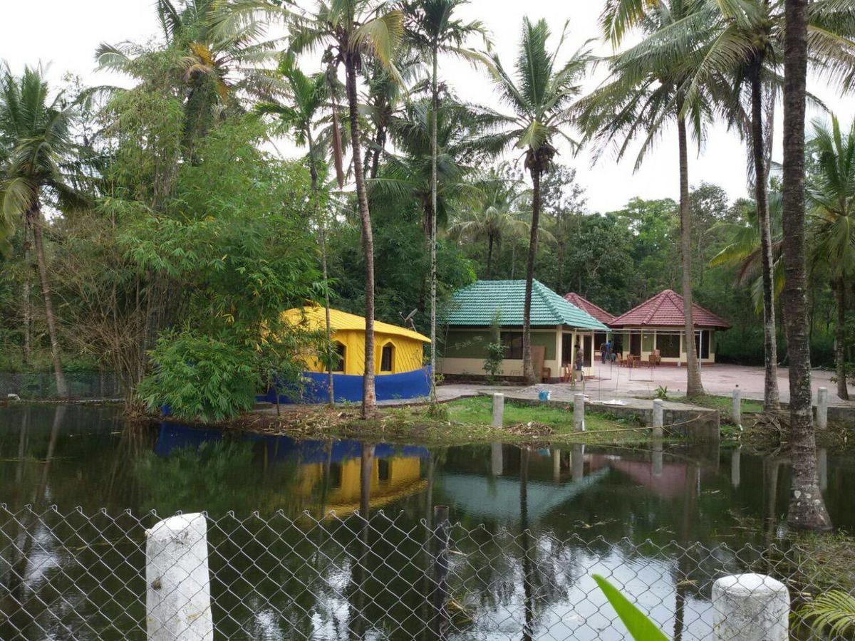 Coorg Anekad Jungle Stay Kushālnagar Zewnętrze zdjęcie